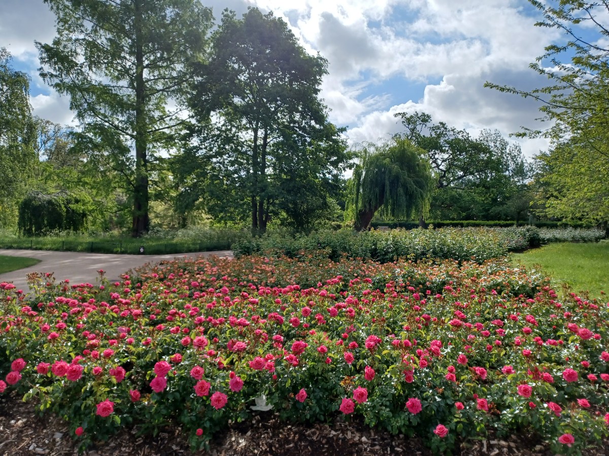 Nature and Culture in London